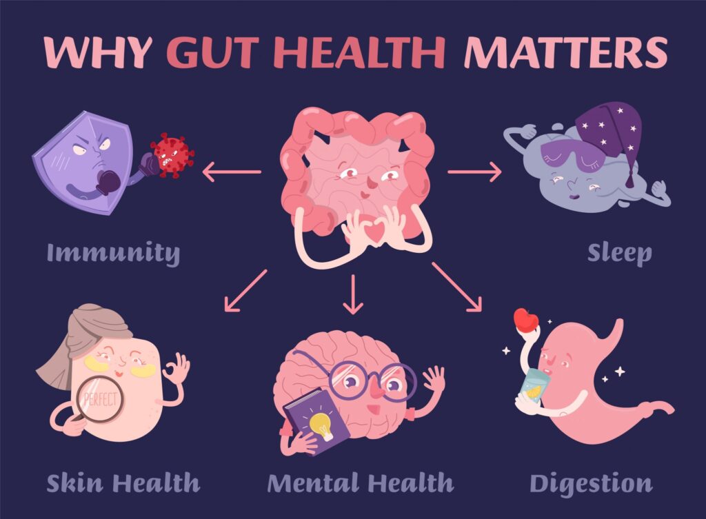 Gut Bacteria