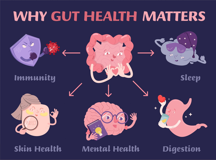 Gut Health